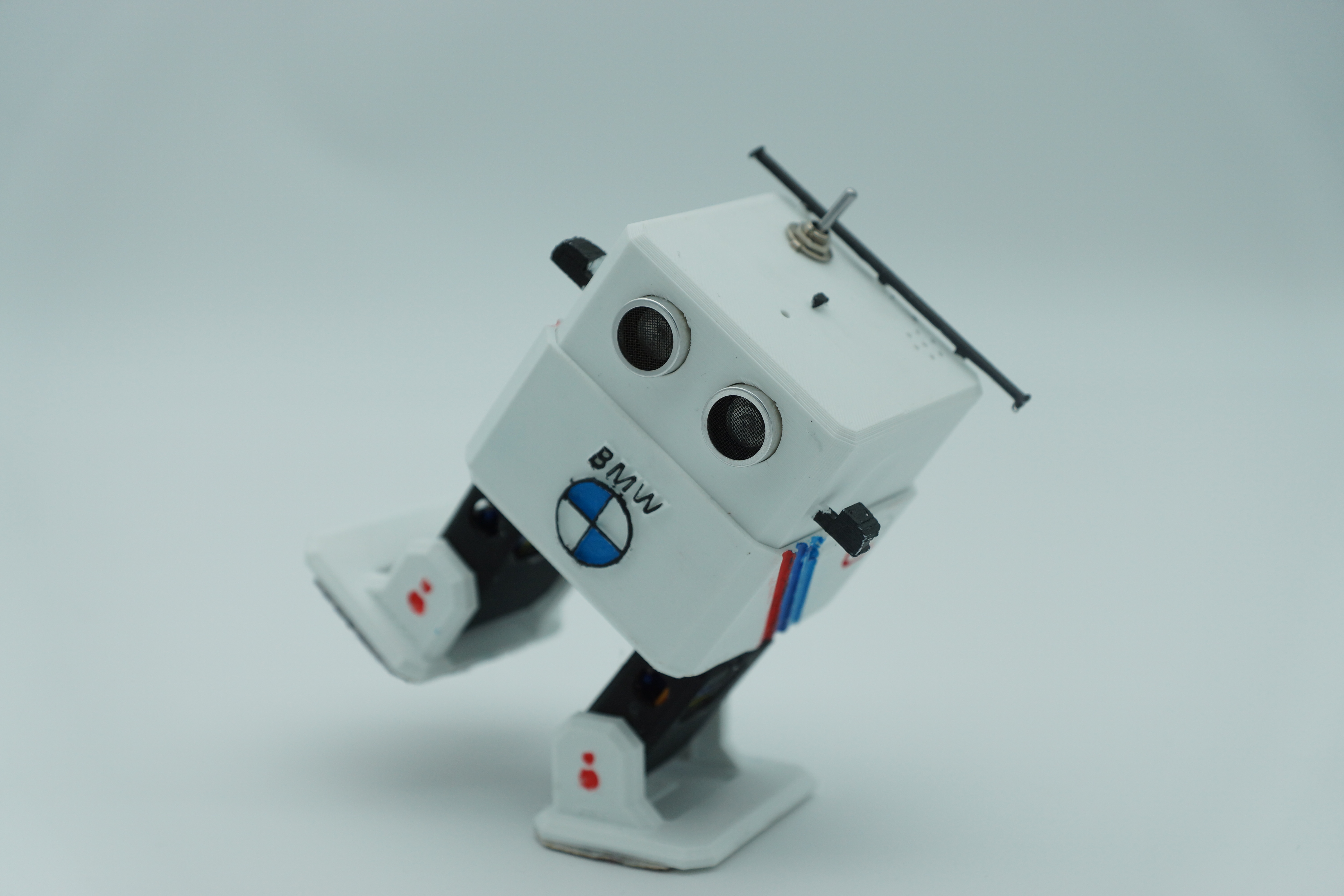Image robot